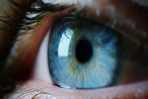 perfect blue eye macro in a sterile environment and perfect vision and vision insurance