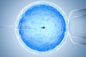 ovum with needle for artificial insemination or in vitro fertilization for fertility insurance coverage