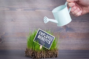 man watering green plants with employee benefits sign board